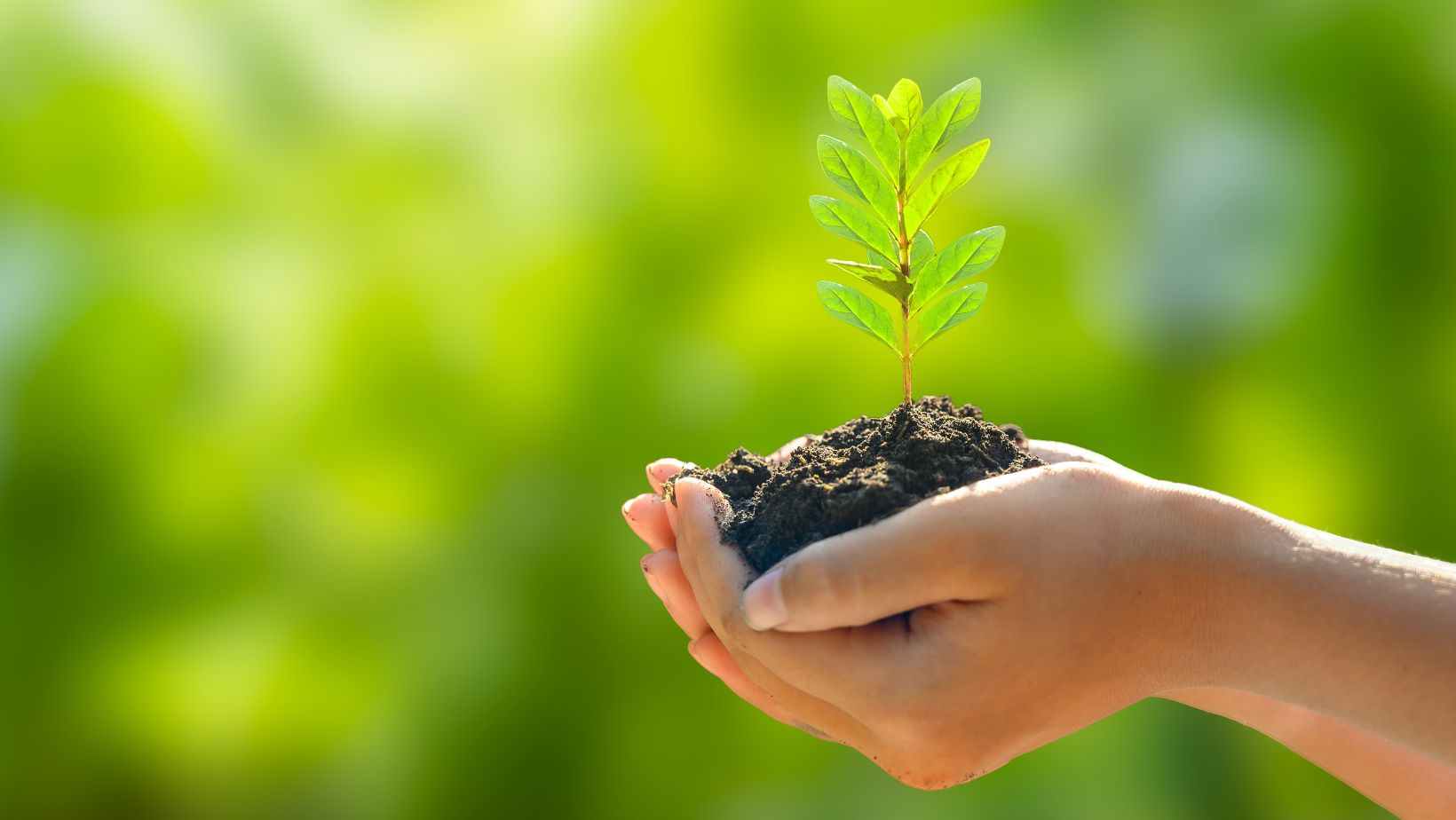 You are currently viewing Top Sustainability Remote Jobs: Find Your Eco-Friendly Career Today